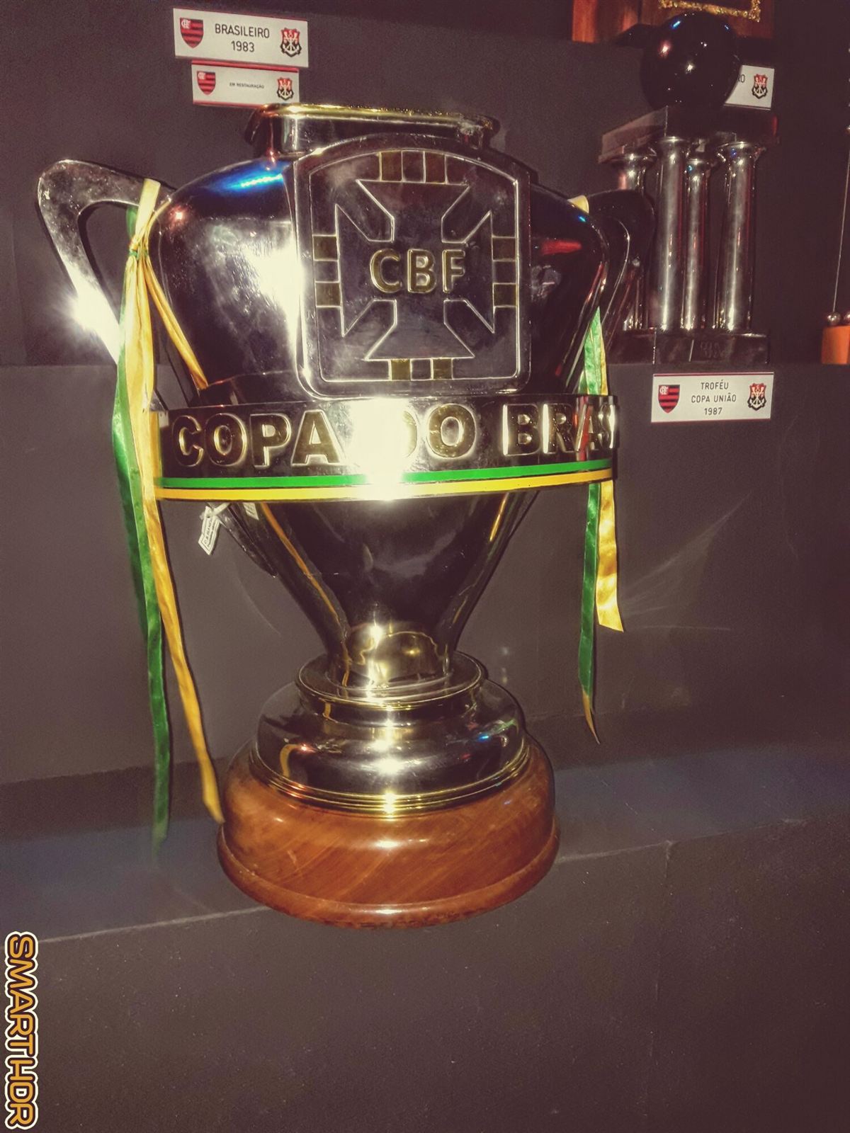 Troféu da Copa do Brasil de 2013 conquistado pelo Flamengo, em exposição